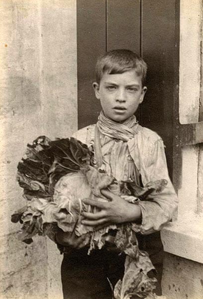 Boy with cabbage (Мальчик с капустой)