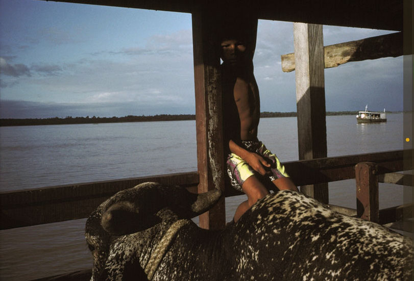 Codajas, Brazil, 1993