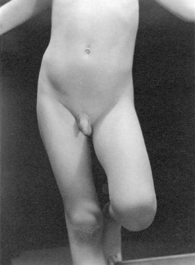 Six Nudes of Neil (Шесть ню Нейла), 1925