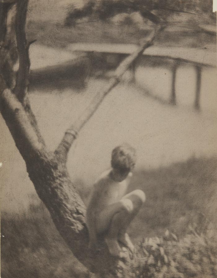 Untitled / Nude boy seated on tree at Little Good Harbor, Maine (Без названия / Обнаженный мальчик, сидящий на дереве в Литл-Гуд-Харбор, штат Мэн), 1907