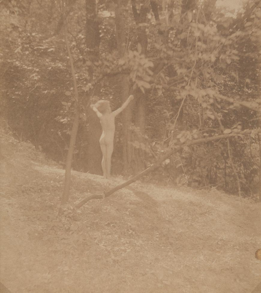 Untitled / Nude boy at forest's edge (Без названия / Обнаженный мальчик на опушке леса), 1905-1908