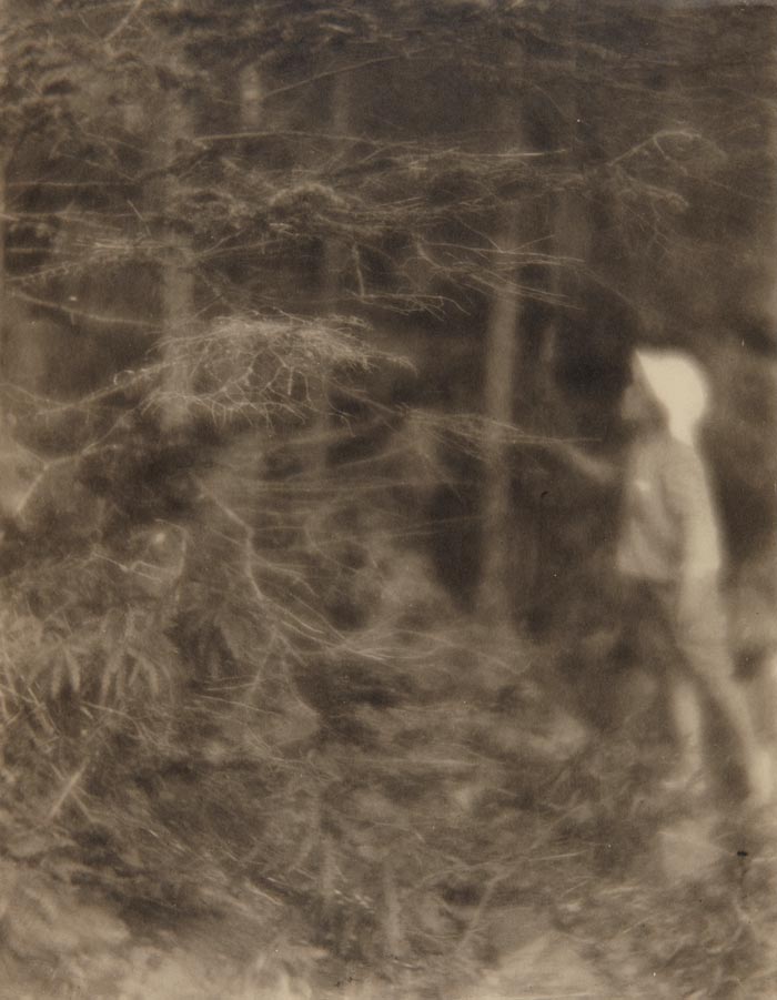 Child in woods, Maine / Clarence H. White, Jr.? (Ребенок в лесу, штат Мэн / Кларенс Х. Уайт, младший?), 1910-1915