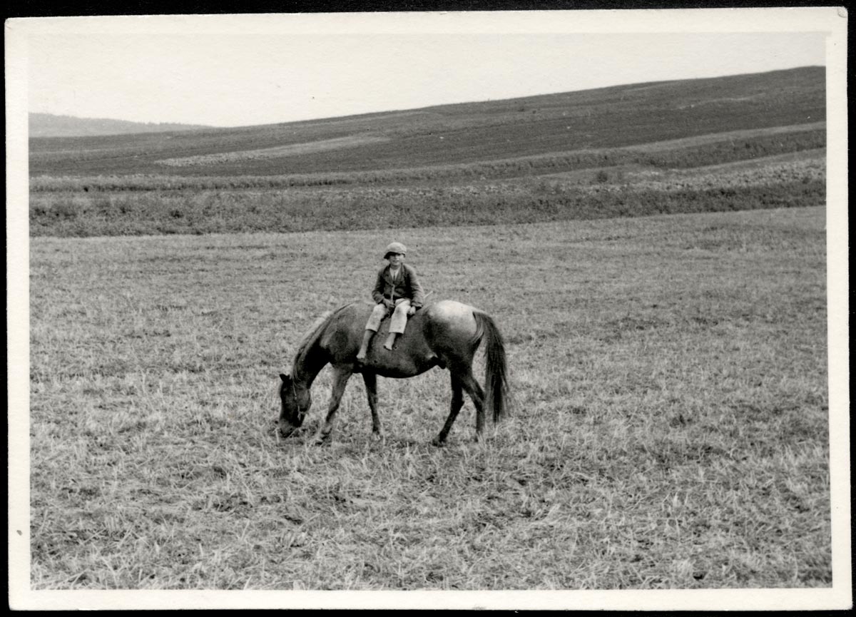 Untitled, Eastern front (Без названия, Восточный фронт), 1939-1945