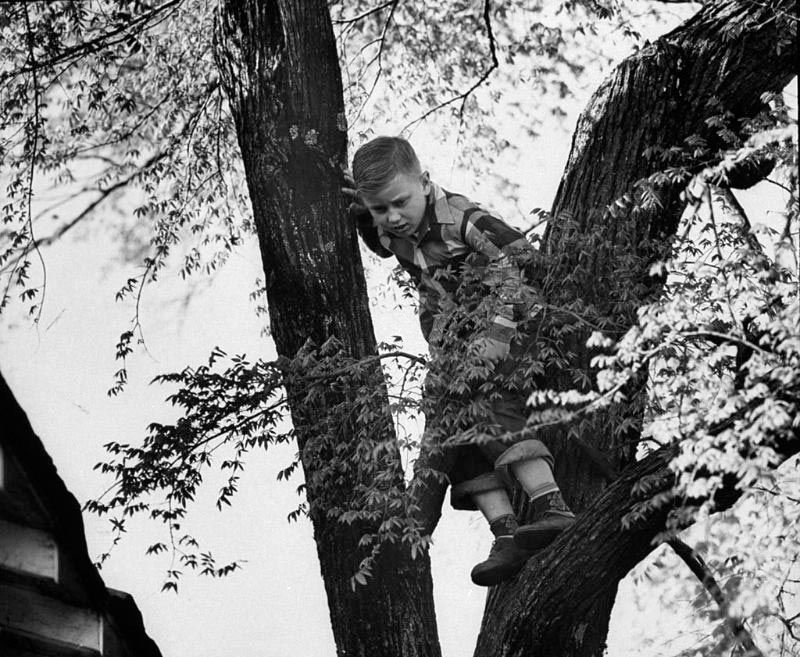 A small boy playing in a tree during springtime (Мальчик, играющий на дереве весной), 1953