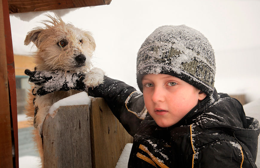 Мой лучший друг - соседский пес (My best friend is a neighbor dog), 2013