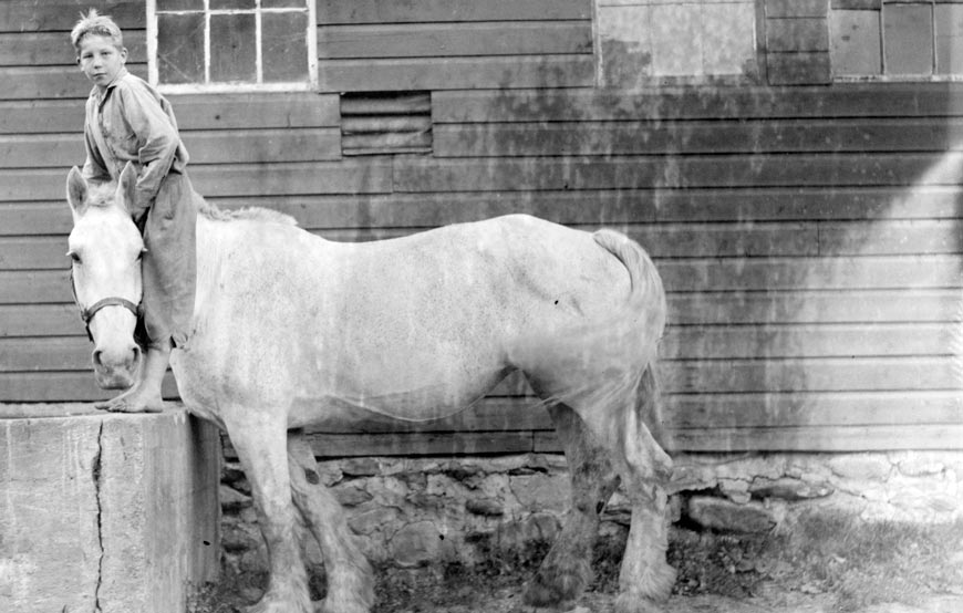 Boy on horse at stable (Мальчик на лошади у конюшни), 1917-1934