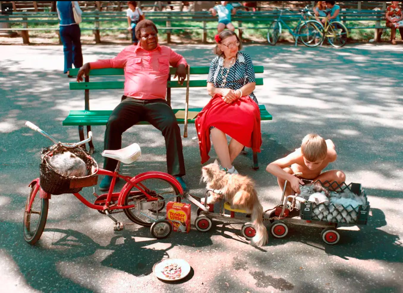 Tender Vittles, Cats on Parade, Central Park Mall, Manhattan (Кошачий корм, кошки на показе, Центральный парк, Манхэттен), 1978