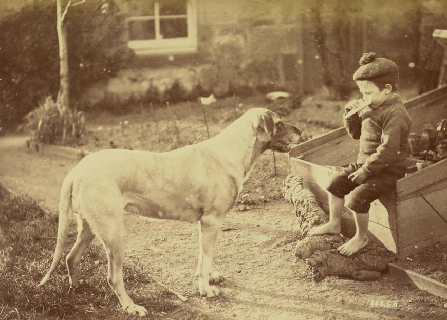 Unidentified boy and dog (Неизвестный мальчик и собака)