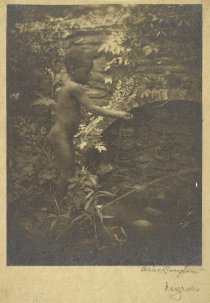 Nude Black Boy / Negroes (Голый чёрный мальчик / Негр), 1900-1920