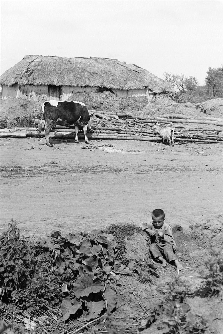 [Portraits of residents of the occupied Belgorod region / Портреты жителей оккупированной белгородской области], 1943