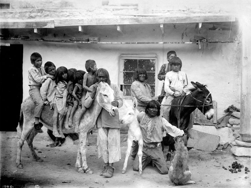 Hopi Indian children with burros and Dr. James (Индийские дети-хопи с осликами и д-р Джеймсом)