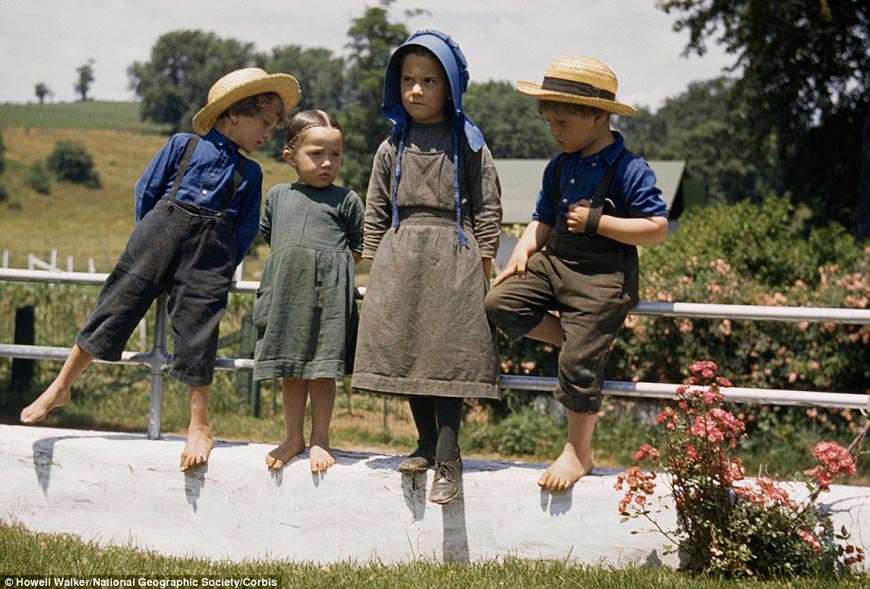 Four Amish children perch on a fence on a hot summer's day (Четыре ребёнка-амиша сидят на заборе в жаркий летний день), 1941 