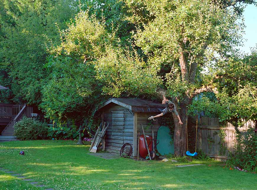 Boy falling from Tree (Мальчик, падающий с дерева), 2010