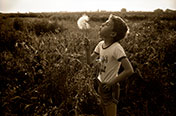 Andrew with dandelion