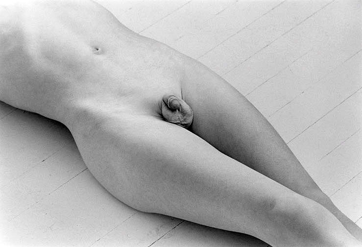 Nude (Ню), 1978