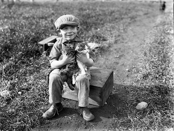 [Boy holding two cats / Мальчик с двумя котятами], 9 February 1927