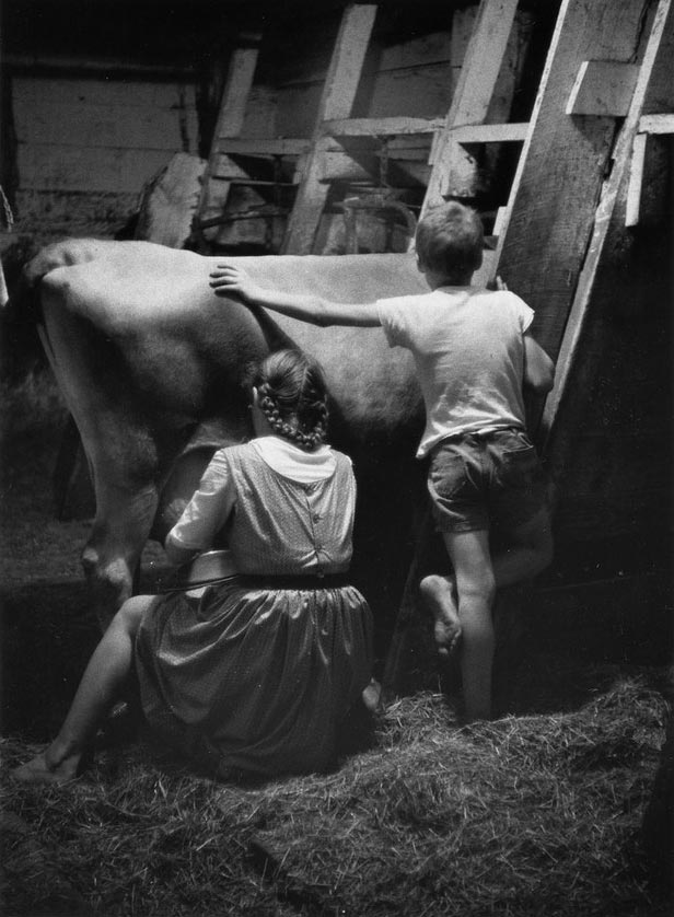 Evening chores (Вечерние хлопоты), 1955