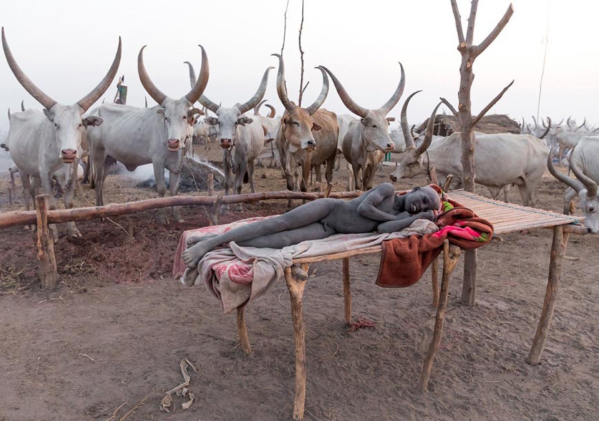 Mundari tribe boy resting on a bed in the early morning in a cattle camp (Мальчик из племени Мундари рано утром отдыхает на кровати в стойбище для скота), 2020 