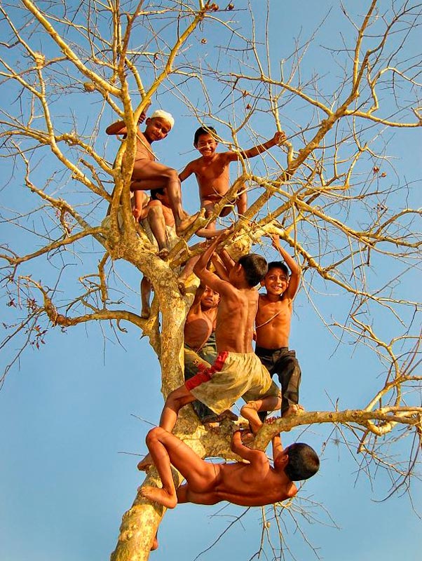 Childhood celebrating (Празднование детства), 2007