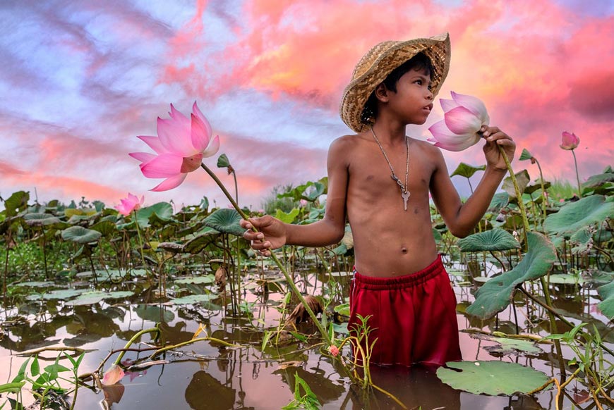 Lotus Pond (Пруд лотусов), 2022