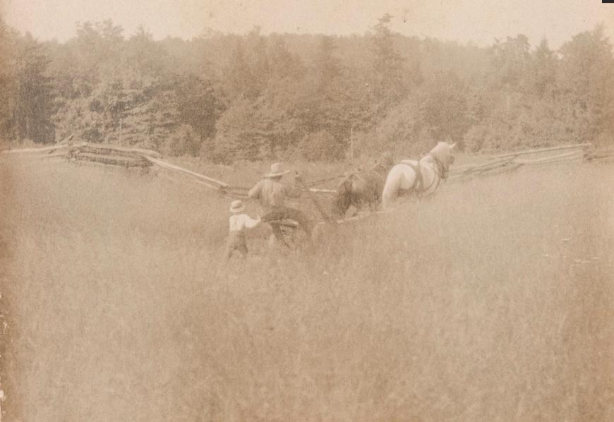 Father and Son Furrowing (Отец и сын за боронением), c.1900