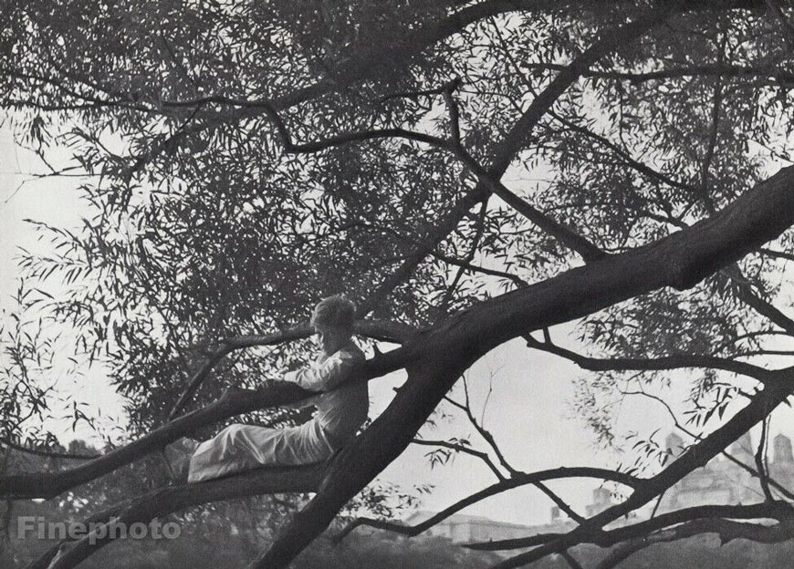 [A boy on a tree branch / Мальчик на ветвях дерева], 1959-1960