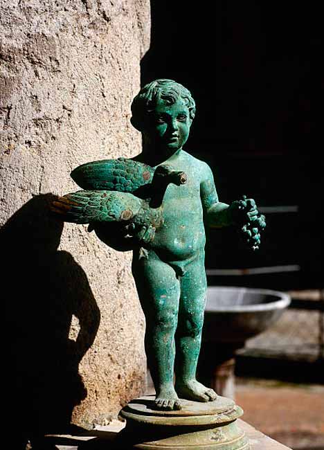 Boy holding a duck and a bunch of grapes (Мальчик, держащий утку и гроздь винограда) 