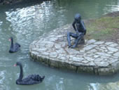 Boy sitting on a rock