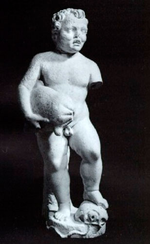 A boy (Мальчик), c.1550