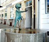 Мальчик огня и воды