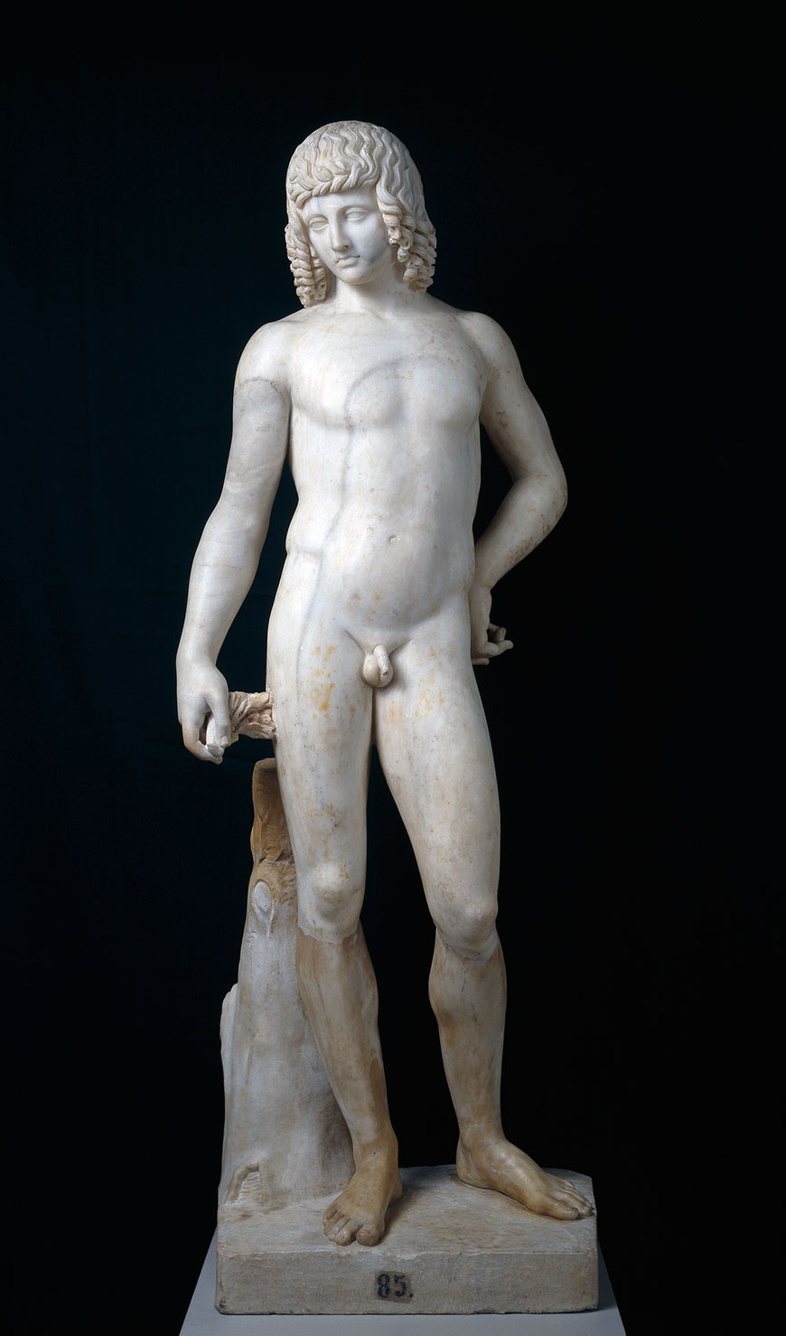 Nude Adolescente (Обнажённый подросток), 1500s